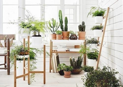 Фиалки цветут и пахнут даже зимой …. 01