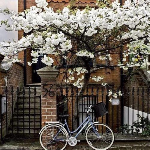 Как В школе дела, что ответить. 95 ответов на вопрос "как дела?