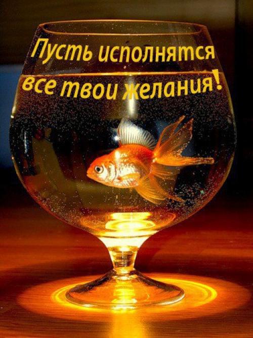 ? 7. Правил, благодаря которым исполняются желания? 
