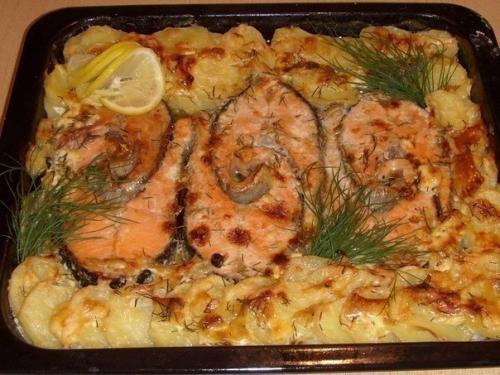 Мы запекаем рыбу - 5 рецептов! 05 Мы запекаем рыбу - 5 рецептов! 05