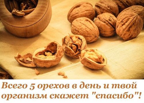 Грецкому ореху по праву присвоено звание суперпродукта.