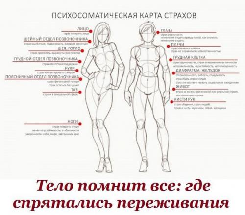 Тело помнит все: где спрятались переживания. Тело помнит все: где спрятались переживания.