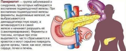 Источник_долголетия зож здоровье. 04 Источник_долголетия зож здоровье. 04