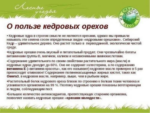 Источник_долголетия зож здоровье. 04