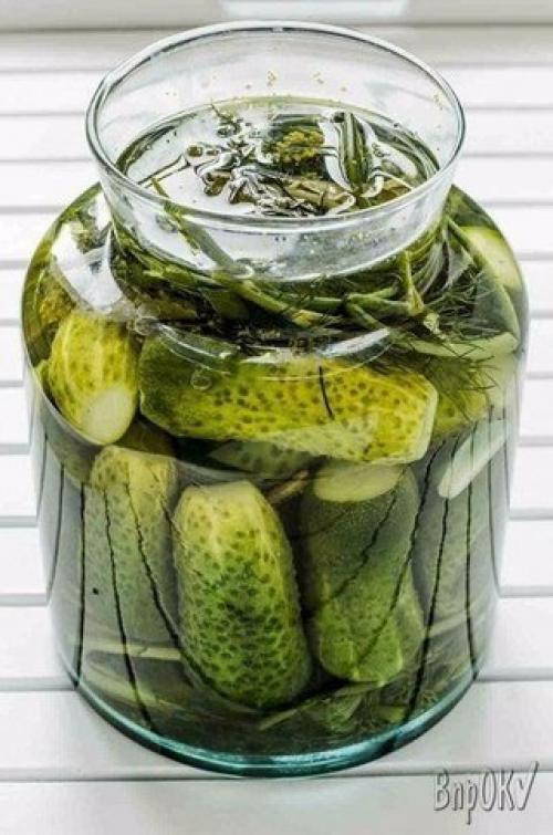 Малосольные огурцы: топ 5 рецептов приготовления.

