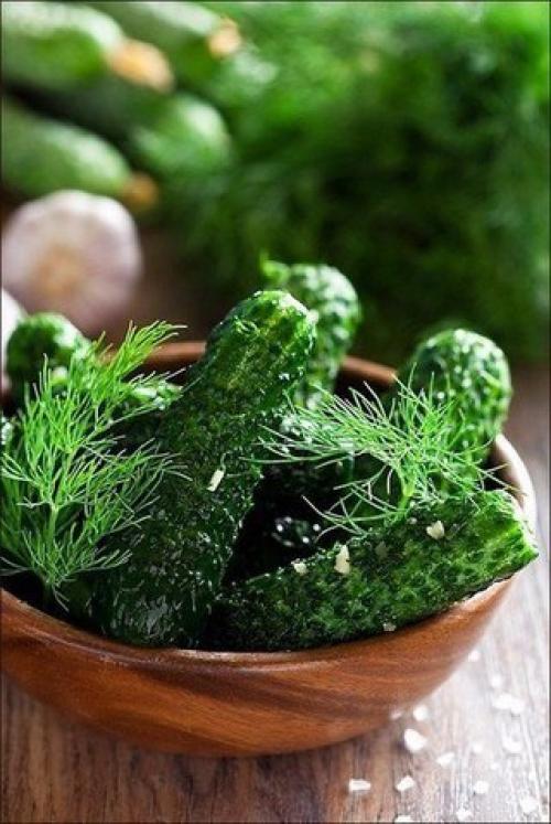 Малосольные огурцы: топ 5 рецептов приготовления. 01