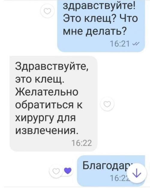 Мама нашла клеща на ребёнке и сразу начала писать врачу в нерабочее время, ожидая мгновенного ответа. 02