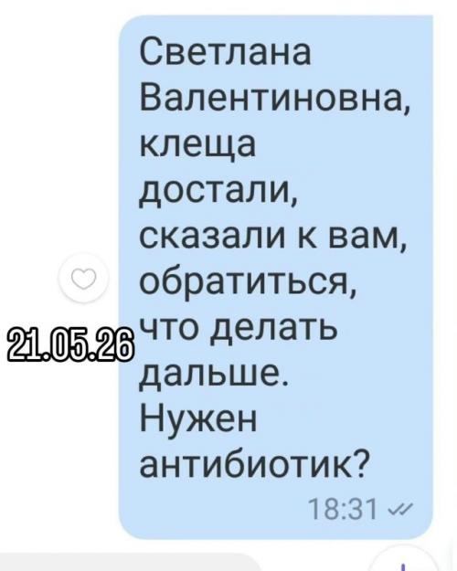 Мама нашла клеща на ребёнке и сразу начала писать врачу в нерабочее время, ожидая мгновенного ответа. 04