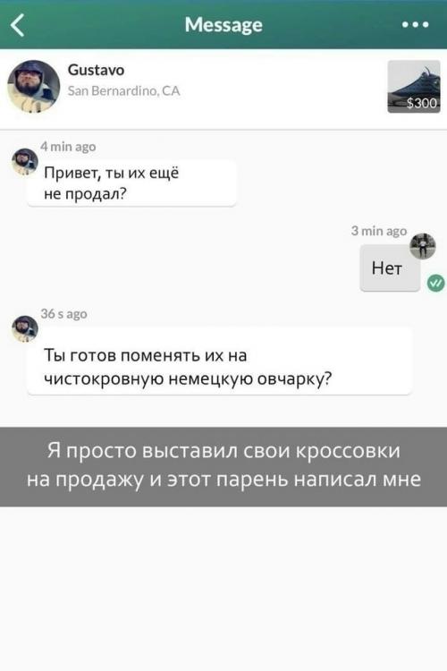 Парень выставил кроссовки за 300 долларов и получил неожиданное предложение - обменять их на чистокровного щенка немецкой овчарки.  