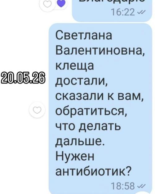 Мама нашла клеща на ребёнке и сразу начала писать врачу в нерабочее время, ожидая мгновенного ответа. 03
