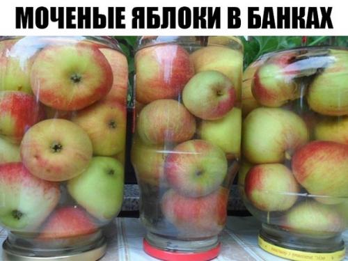 Моченые яблоки в банках.