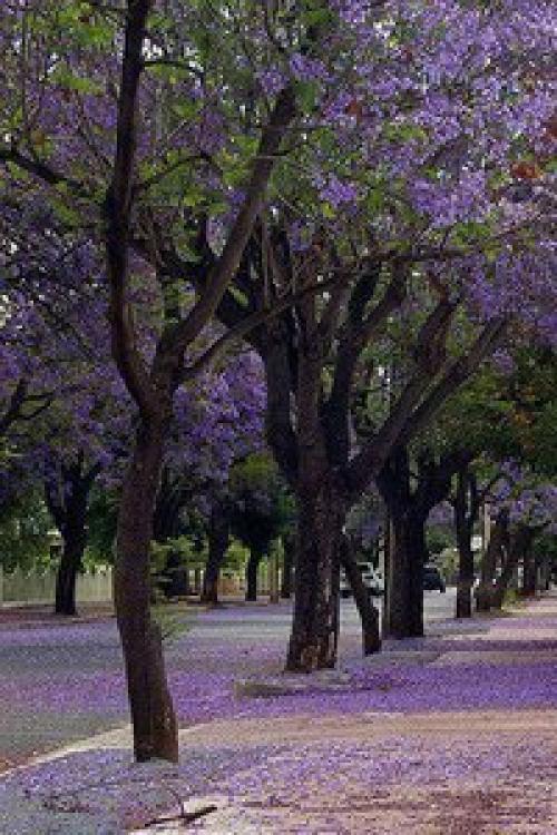 Август - время летней романтики и теплого ветра. 05