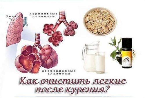 Как очистить легкие после курения? Как очистить легкие после курения?