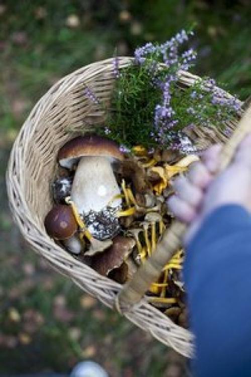 Август - время летней романтики и теплого ветра. 03