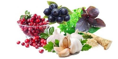 Природные антибиотики.   1. хрен. Природные антибиотики.   1. хрен.