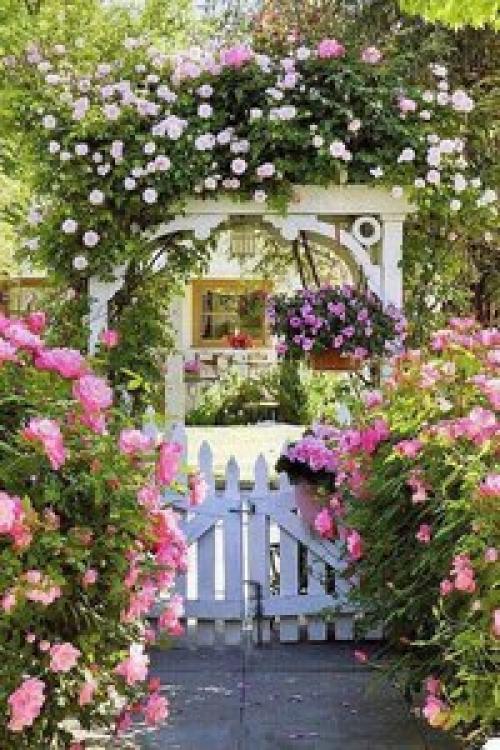 Август - время летней романтики и теплого ветра.