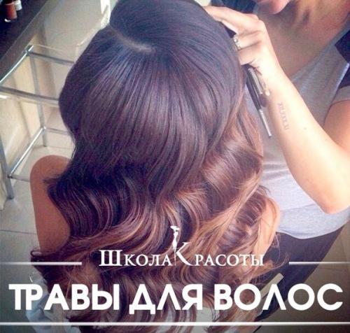 Травы для красивых волос. Лучшие народные советы.