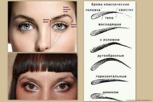 Фактура бровей.  Здесь действует одно правило: чем брови толще и жестче, тем неуступчивее и упрямее характер человека.